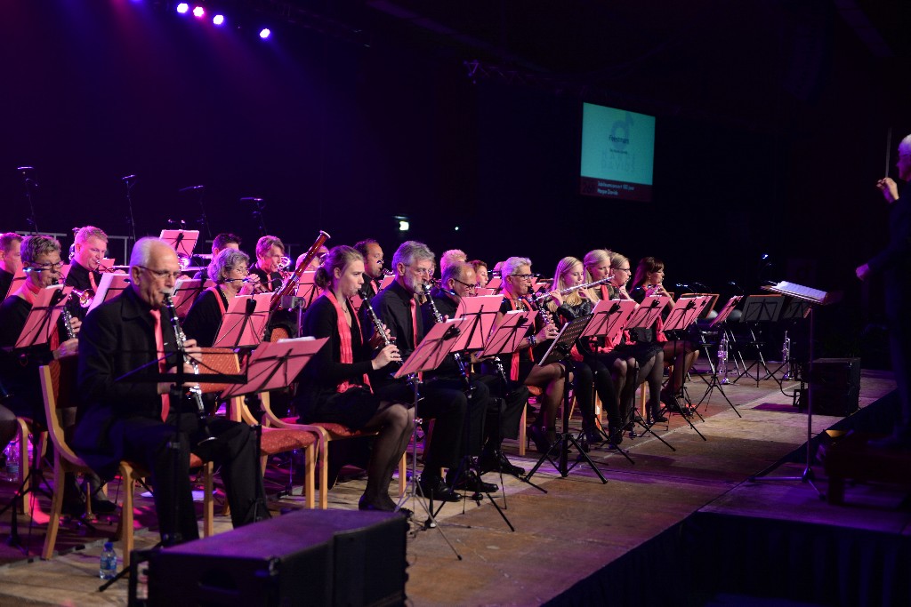 ../Images/Jubileumconcert 100 jaar Harpe Davids 201.jpg